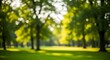 © MSTNAZMUN - Soft focus view of a sunny park with lush green grass and tall tree silhouette against bright yellow and green light, creating a peaceful, blurred outdoor scene