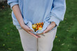 © Westend61 - Person harvesting cherry tomatoes outdoors in autumn holding hoodie