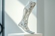 © Katya - Innovative bionic leg prototype displayed in natural light for medical and design concepts