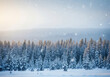 © TheseusStock - Seasonal Decor Aesthetics for Holiday Themes: Snowy Winter Landscape with Copy Space and Blurry Forest Background