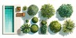 © Supernova - Top view flat lay of garden landscape design elements, featuring plants and a swimming pool. Set with vector illustrations