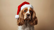 © tsinik - Adorable Cocker Spaniel dog in Santa hat looking at camera. Christmas portrait on neutral beige background with copy space.