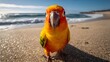 © Pter - Dynamic Parrot in a Selfie Posing Vibrantly on a Dazzling Sunlit Beach with Sparkling Ocean Waves