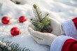 © Nongkran - Person in Santa costume holding small Christmas tree in snow with ornaments nearby