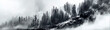 © Ed - A forest with trees and fog. The trees are tall and the sky is cloudy, a black-and-white photo of the first snow in the mountains, relaxation, and wandering around your favorite places