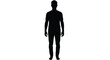 © Bisca - Vector illustration of full body silhouette of a standing adult man in a casual pose, facing forward, with a neutral stance, isolated on