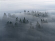 © ead72 - Morning fog drifts through a scenic, forested Pacific Northwest landscape near Portland, Oregon. Fog and mist forms when moist air cools to its dew point, causing water vapor to condense.