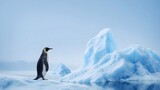 Penguin Beside Iceberg In Arctic Glow