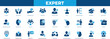 © SokretiRani - professional expert solid icon set featuring skills,strategy, consulting, leadership, certification, support,leader, performance, ,management, and career development symbols.