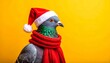© Innovative - Pigeon in Santa hat and scarf on bright yellow background