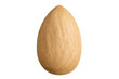 © PNG Kingdom  - Single shelled almond nut, healthy snack food ingredient, a raw seed for vegan cooking, transparent background