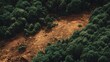© Pornfa - Aerial View of Forested Landscape with Eroded Terrain and Exposed Soil Underneath Dramatic Tree Canopy in Natural Scene