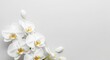 © Yonanda - A clean and minimalist composition of white orchids with a soft gray background and scattered petals.
