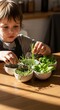 © photoplotnikov - Caucasian child interacts with herbs in sunlit kitchen setting