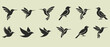 © AdobeFly - Collection of silhouetted birds in various poses and flight styles against a light background