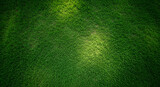 Vibrant green grass texture with natural sunlight highlights