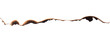 © LWN Studio - Burnt paper edge with dark scorch marks and curved burned shape