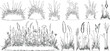 © shahzad - set of shrubs line cad, Ground cover. Illustration for elevation architectural element, side view, grass section.	vector illustration.