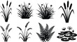 © Cansu - Black silhouette aquatic plants and water lilies vector collection simple nature design