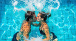 © ArtFocus Studio - Underwater view of a young couple kissing in a swimming pool with splashing water, embodying a .Concept for Love and Valentines Day celebration.