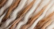© NETI - Close-up of soft, wavy natural fibers in alternating white and brown stripes.