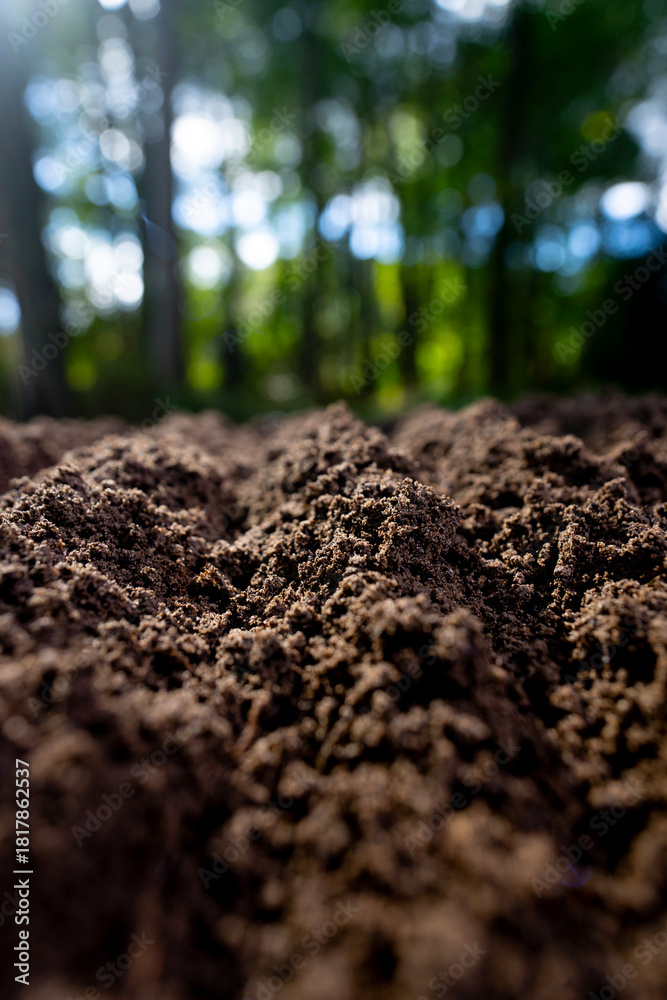 Humus Farm Fertile farm soil. Topsoil with humus and clay. Cultivated ground in ...