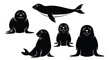 © Muhammad - Adorable seal animal silhouettes for logo design and branding needs