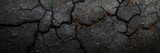 Close-up of burnt wood charcoal revealing natural patterns, emphasizing surface textures for background design