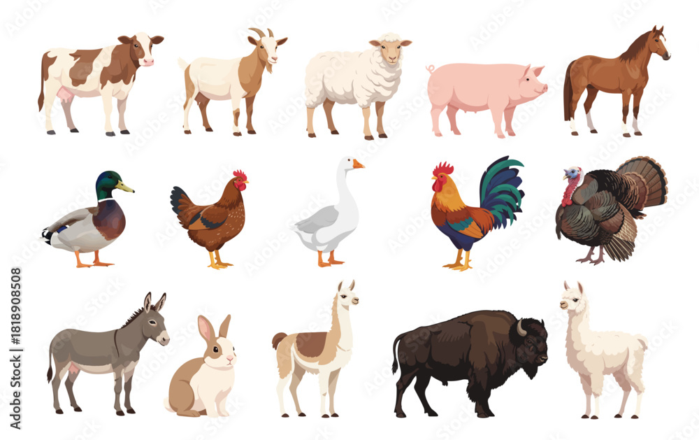 Farm Animals Set – Flat Vector Illustrations of Domestic Livestock and ...
