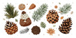© Hasnat - Pinecones fir branches winter christmas nature forest botanical foliage cones flora