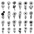 © vikriza - A charming vector assortment of hand-drawn botanical flower illustrations in a minimalist doodle style, isolated on a white background