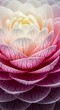 © Minah - Delicate concentric petals with converging vein patterns and water drops
