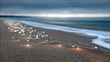 © visoot - Soft lighting on beach with glowing string lights creates dreamy atmosphere along shoreline under cloudy sky