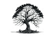© Mukul - Lush Green Tree Silhouette Full Foliage Nature Growth Environment