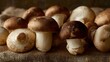 © Tiago Flavio - A rustic still life showcases a collection of assorted mushrooms, inviting viewers to appreciate the simplicity of nature's edible treasures.
