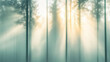 © Aleksandra - Serene Sunlit Forest with Tall Trees in Morning Mist
