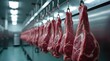 © Leonardo - Carcasas de res colgadas en fila sobre ganchos metálicos