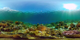 The underwater world of coral reef with fishes at diving. Coral garden under water. Coral Reef Fish Scene. Philippines. 360 panorama VR