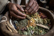 © Olga Biliak - A close-up of a traditional mountain healer's hands mixing natural herbs and plants, emphasizing indigenous medicinal practices and ancient knowledge.
