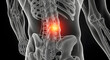 © Clear - Back Pain Illustration Featuring Spine and Red Highlight