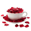 © ArzStudio - Teacup Overflowing With Fresh Red Rose Petals on White Backdrop