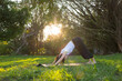 © leungchopan - Woman do yoga exercises in park