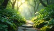 © Vadym - Stone path leads through lush green forest. Mossy ground, sunlight filters through trees creating soft bokeh. Plants and small flowers grow on forest floor. Peaceful nature scene.