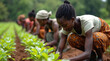 © Vadym - African women work on farm field. Farmers cultivate crops in rural field. Laborers plant seedlings. Agriculture sustains families, communities. Sustainable farming practices essential for food