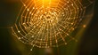 © Zephyr Fox - ethicist. Morning dew glistening on a delicate spiderweb in golden light. wildlife magazines, conservation campaigns, designed for nature documentaries and education, used by devops engineers.