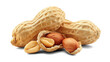 © natalikp - peanuts on a white background