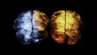 © wan - Comparative brain scan visualization showing contrasting neural activity patterns in two hemispheres