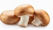 © Clinton - mushrooms isolated on white background transparent file type with high definition quality and vibrant color grading available