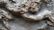 © Parol - Close up view of weathered driftwood showing intricate patterns and textured surfaces detail
