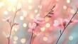 © lucky - delicate pink blossoms and unopened buds on slender branches with soft bokeh light circles and pastel background conveying a dreamy serene springtime romance